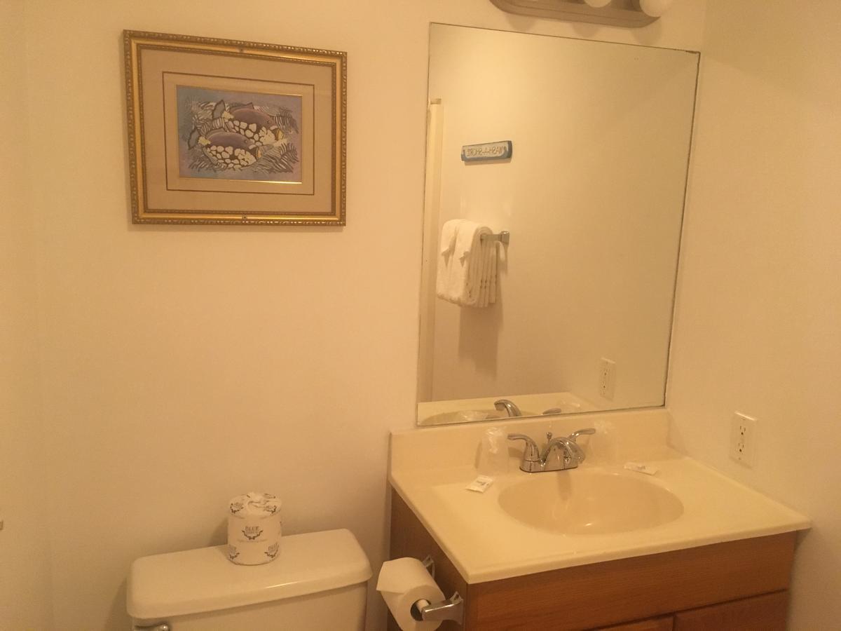 וירג'יניה ביץ' Ocean Cove Motel מראה חיצוני תמונה